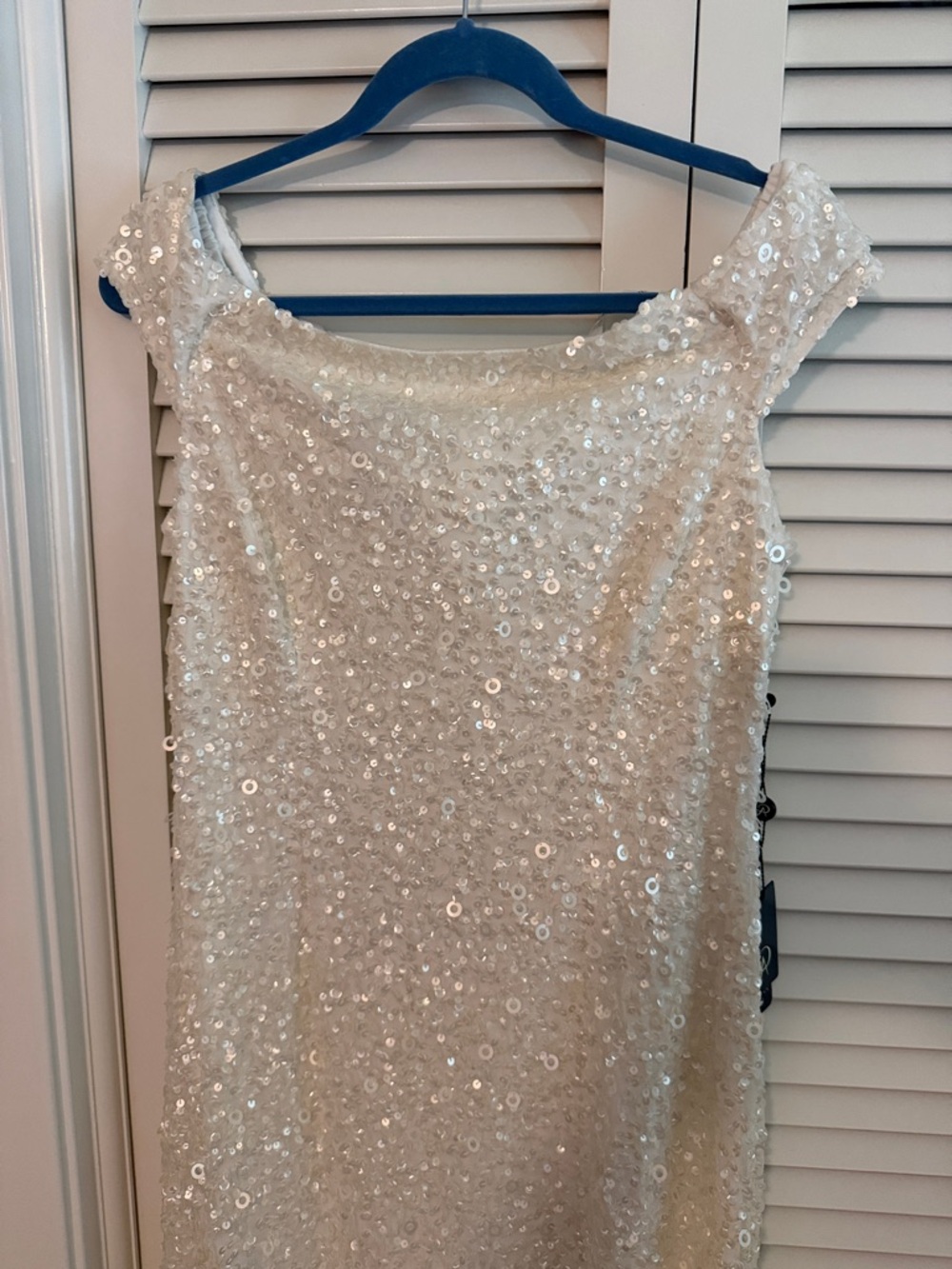 Adrianna Papell Seguin gown NWT